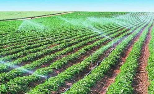 擦比视频在线观看农田高 效节水灌溉